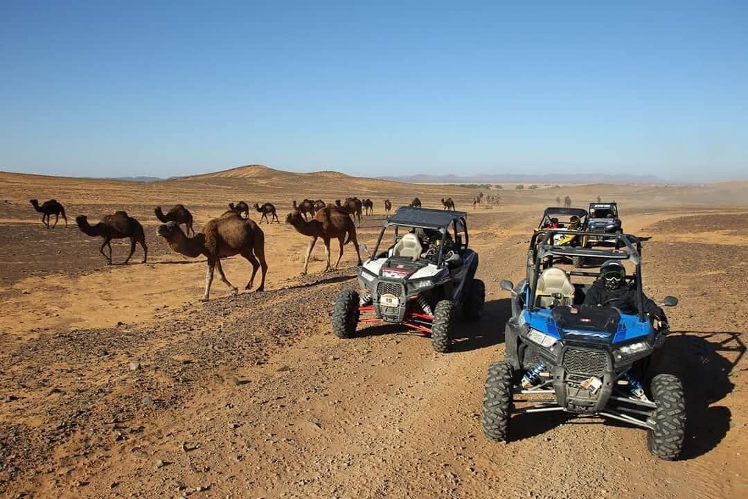 2-hour buggy tour