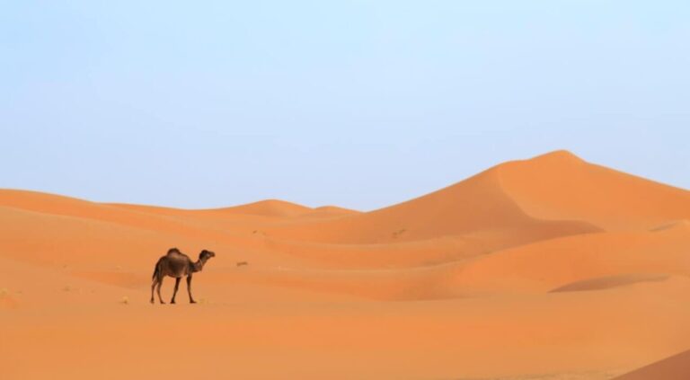 Buggy tours in the Merzouga desert